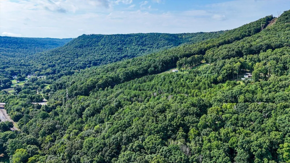Tn-156 Guild, TN 37340