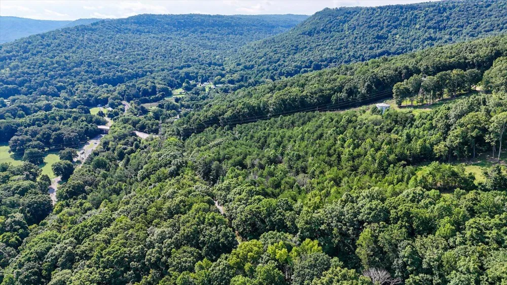 Tn-156 Guild, TN 37340