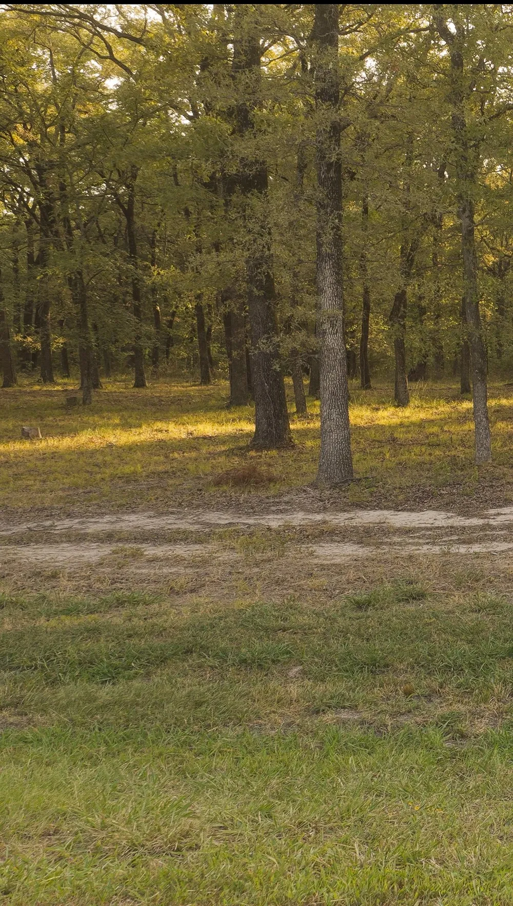 Vintage Shore Drive Quinlan, TX 75474