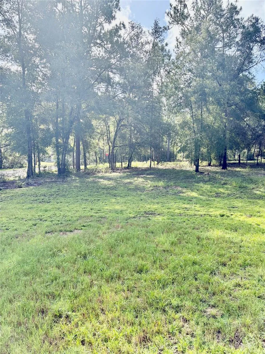 8680 SW 209TH COURT Dunnellon, FL 34431