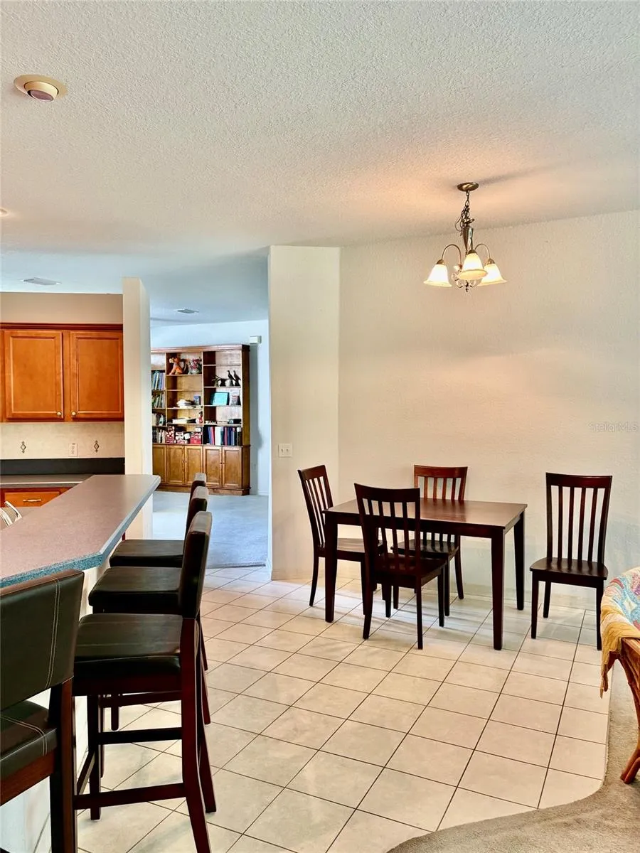 8680 SW 209TH COURT Dunnellon, FL 34431