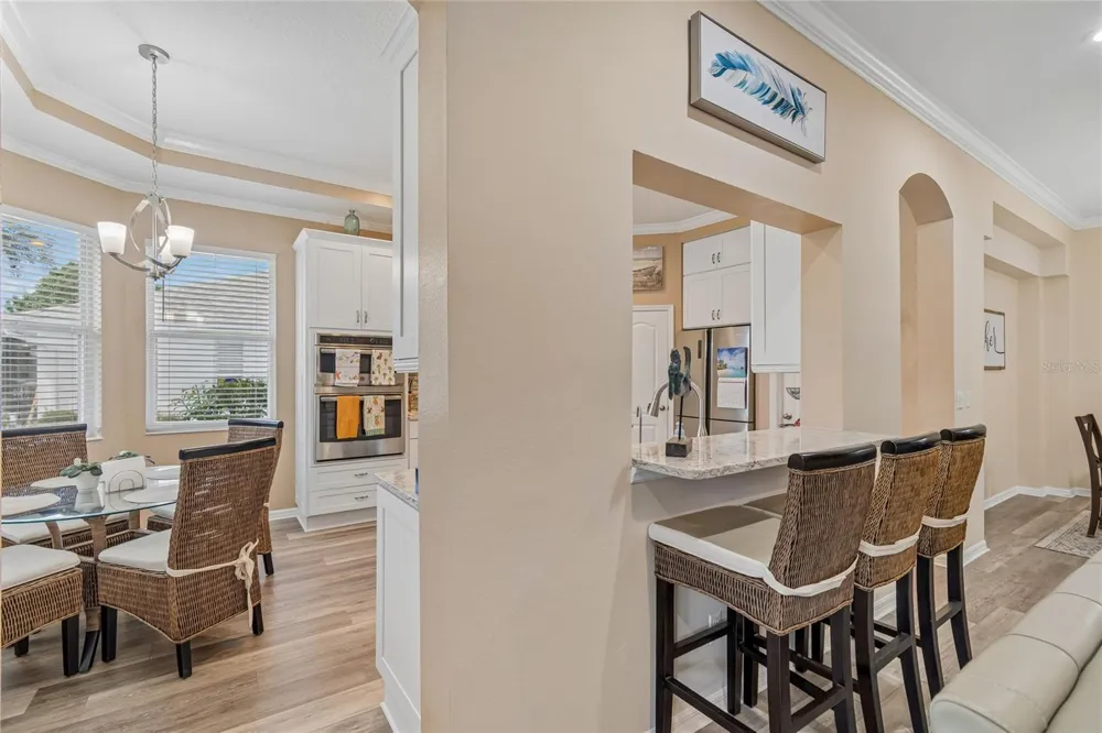 1119 VILLEROY DRIVE Sun City Center, FL 33573