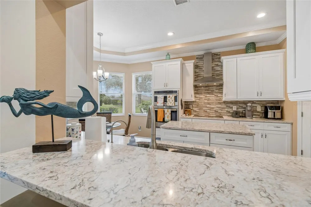 1119 VILLEROY DRIVE Sun City Center, FL 33573