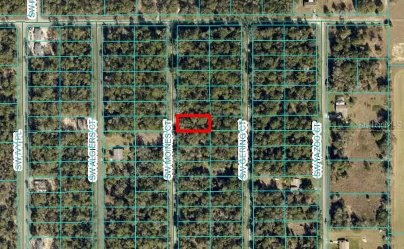 TBD SW MOINES CT Dunnellon, FL 34431