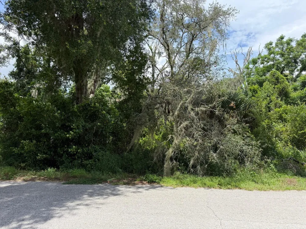 CLARK ROAD Fruitland Park, FL 34731