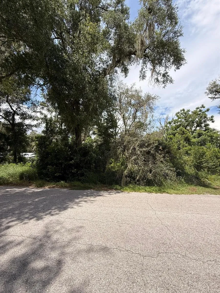 CLARK ROAD Fruitland Park, FL 34731