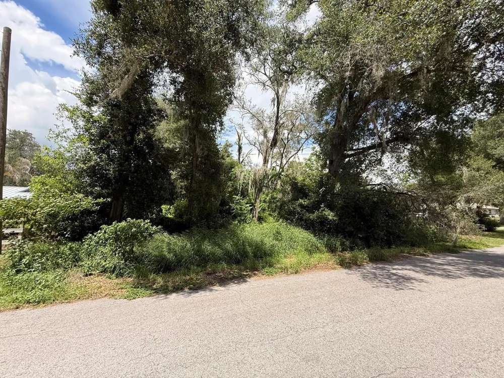 CLARK ROAD Fruitland Park, FL 34731