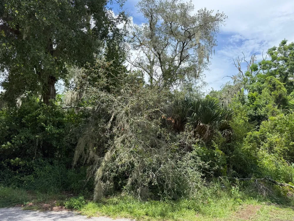 CLARK ROAD Fruitland Park, FL 34731