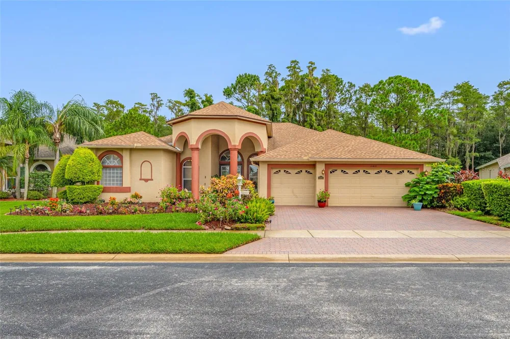11421 STRATHAVEN COURT Trinity, FL 34655