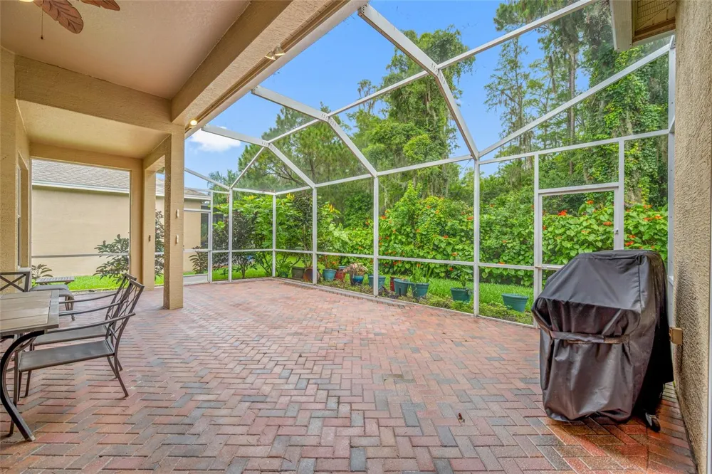 11421 STRATHAVEN COURT Trinity, FL 34655