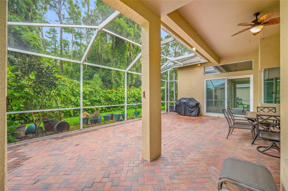 11421 STRATHAVEN COURT Trinity, FL 34655