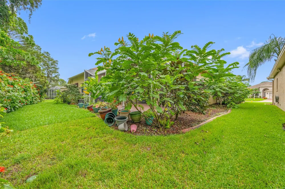 11421 STRATHAVEN COURT Trinity, FL 34655