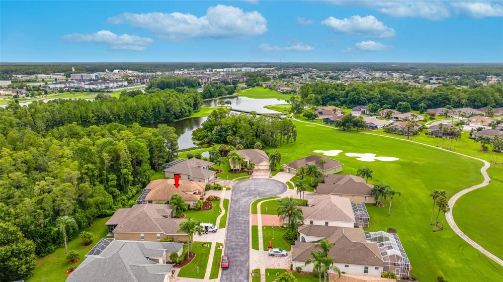 11421 STRATHAVEN COURT Trinity, FL 34655