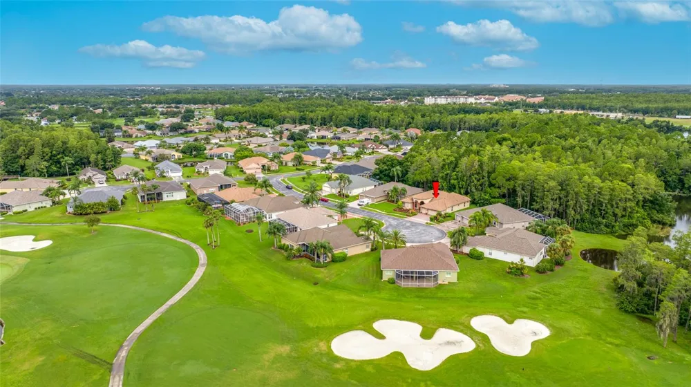 11421 STRATHAVEN COURT Trinity, FL 34655
