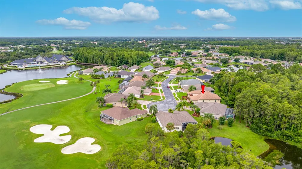 11421 STRATHAVEN COURT Trinity, FL 34655