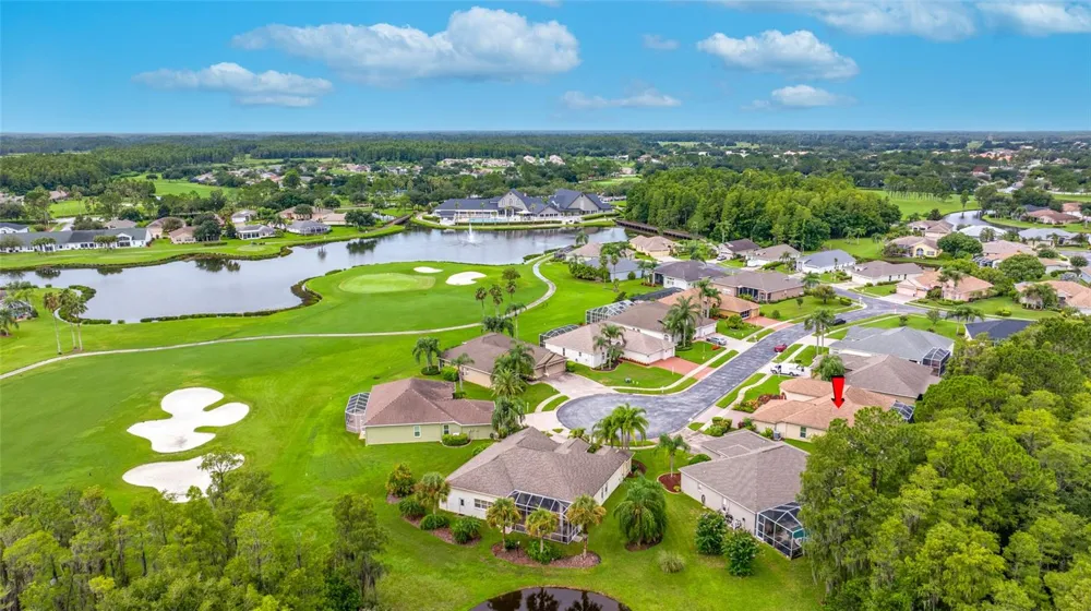 11421 STRATHAVEN COURT Trinity, FL 34655