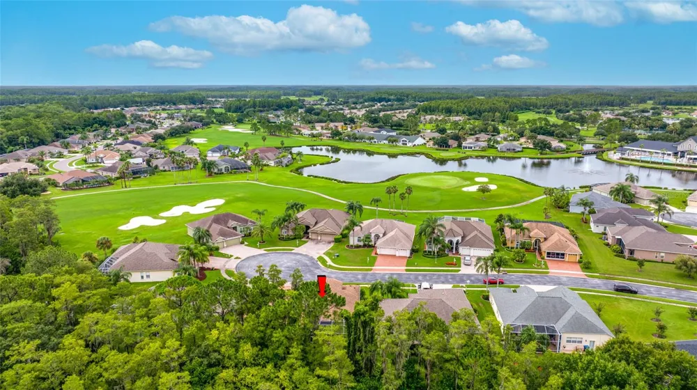 11421 STRATHAVEN COURT Trinity, FL 34655