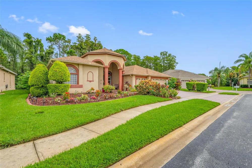 11421 STRATHAVEN COURT Trinity, FL 34655