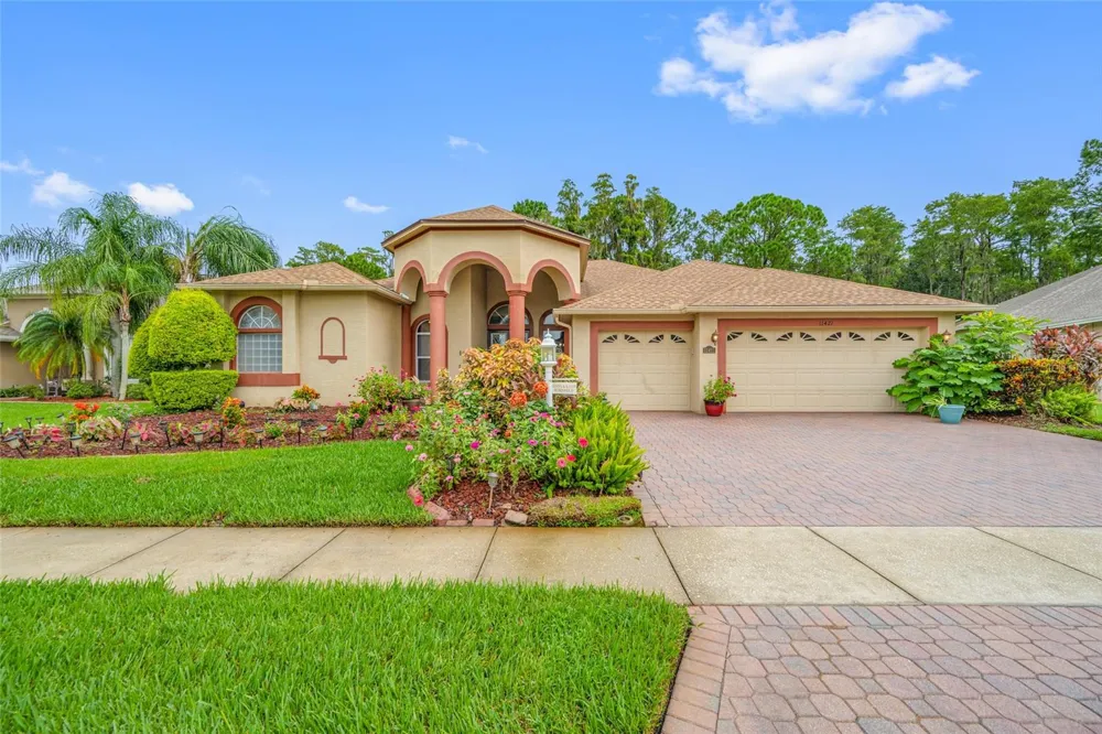 11421 STRATHAVEN COURT Trinity, FL 34655