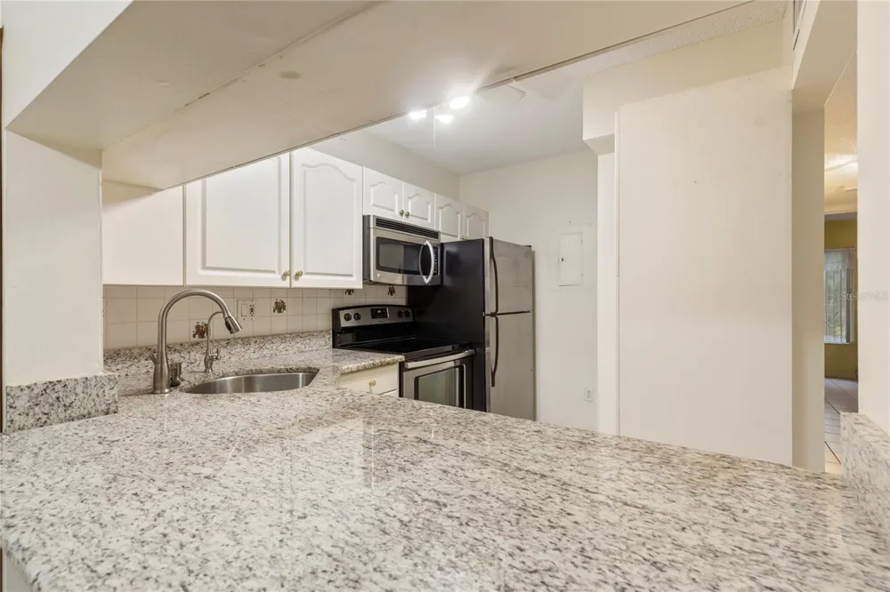 3232 LAKE PINE WAY E #B1 Tarpon Springs, FL 34688