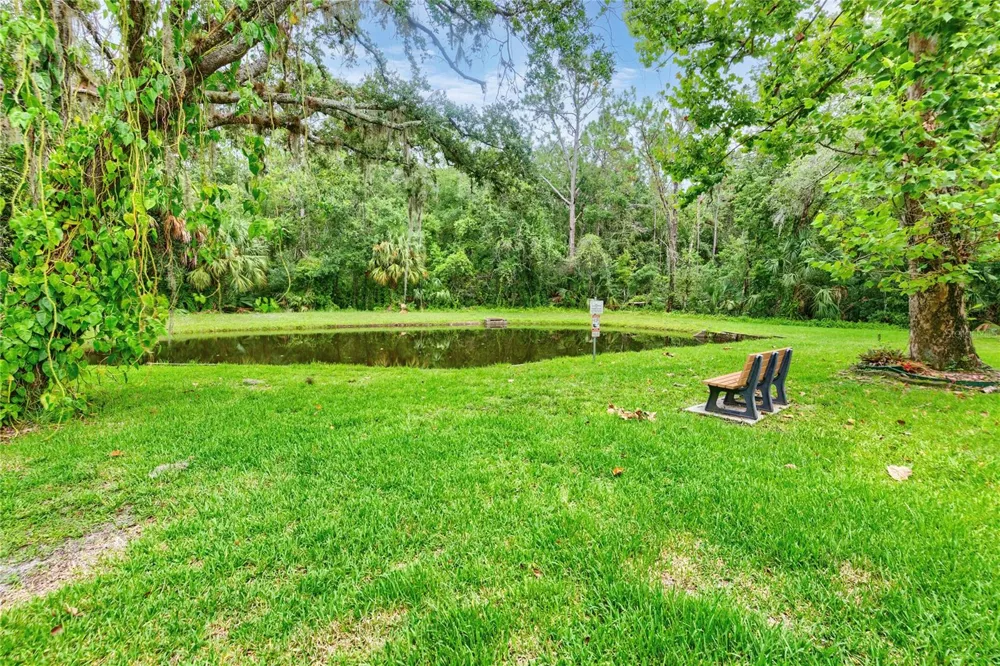 3232 LAKE PINE WAY E #B1 Tarpon Springs, FL 34688