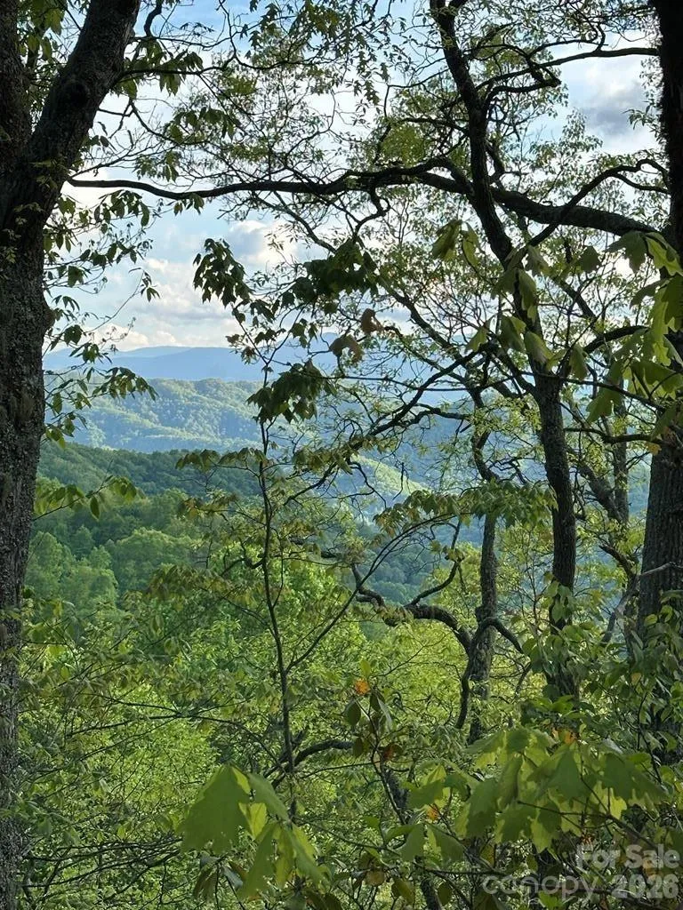 00 Falls View Drive #47 Bryson City, NC 28713
