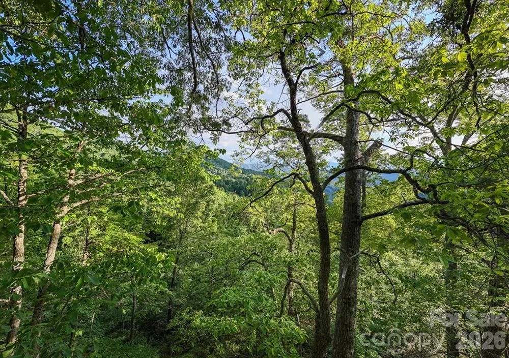 00 Falls View Drive #47 Bryson City, NC 28713