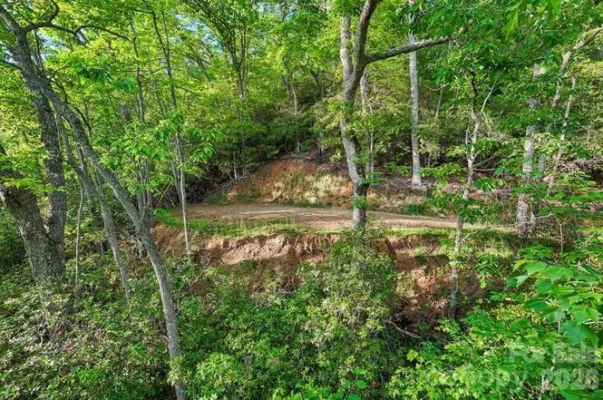 00 Falls View Drive #47 Bryson City, NC 28713