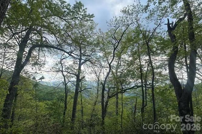 00 Falls View Drive #47 Bryson City, NC 28713