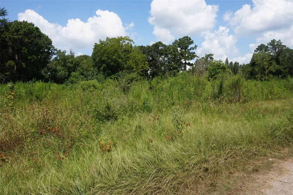 20130 Elm Street New Caney, TX 77357