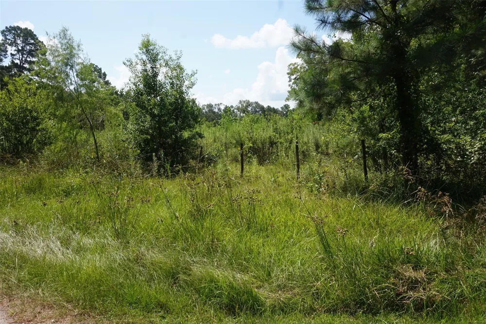 20130 Elm Street New Caney, TX 77357