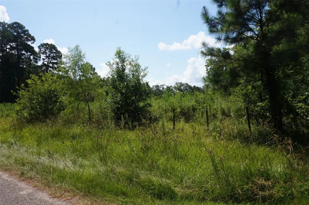 20130 Elm Street New Caney, TX 77357