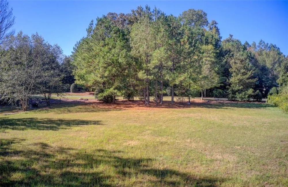 1597 Grassy Hill Ct Grayson, GA 30017