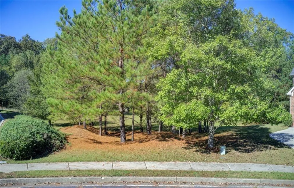 1597 Grassy Hill Ct Grayson, GA 30017