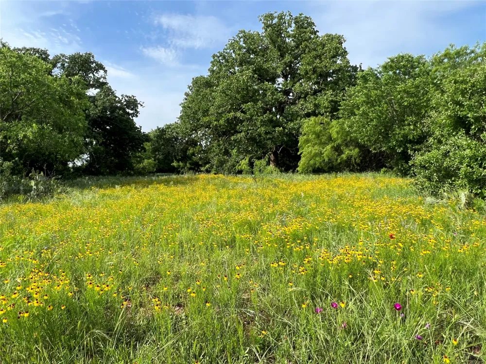 137 CR Cisco, TX 76437