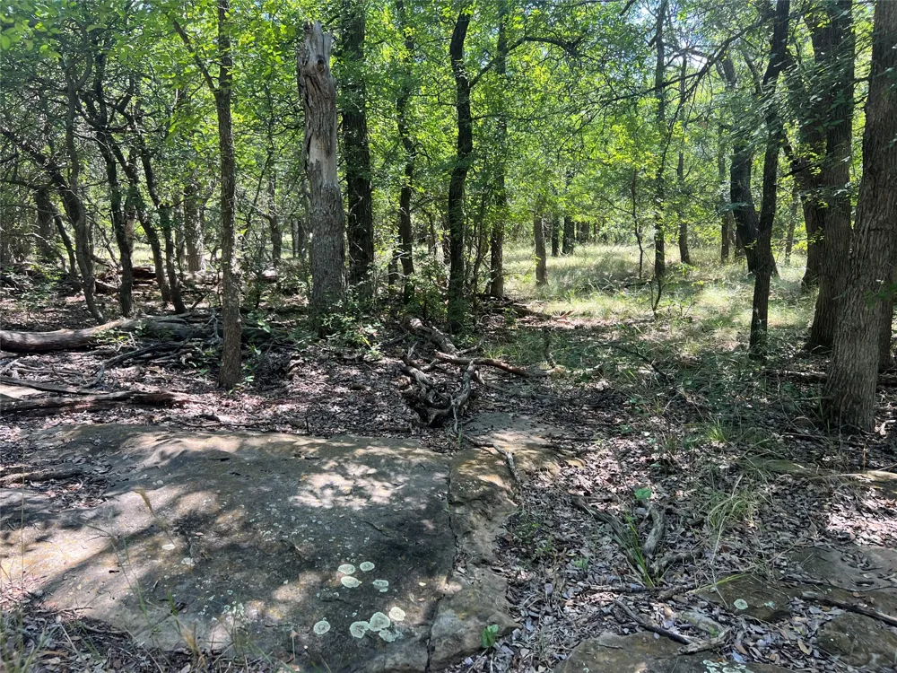137 CR Cisco, TX 76437