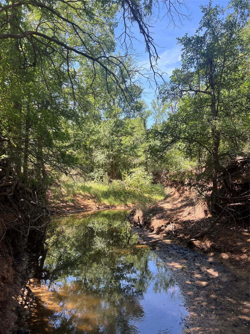 137 CR Cisco, TX 76437