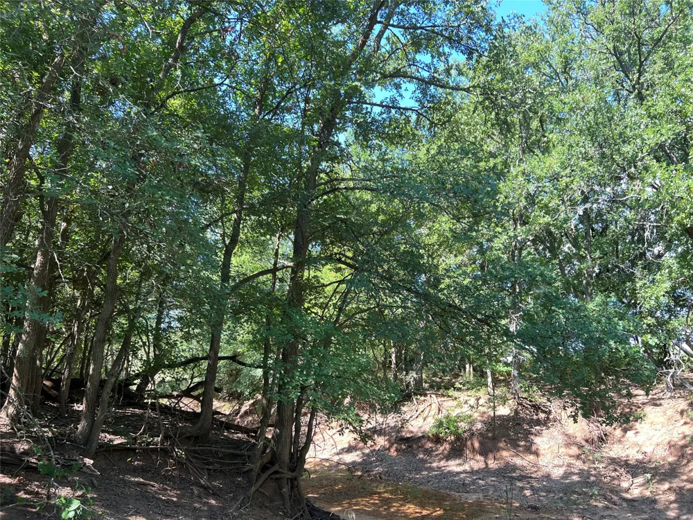 137 CR Cisco, TX 76437