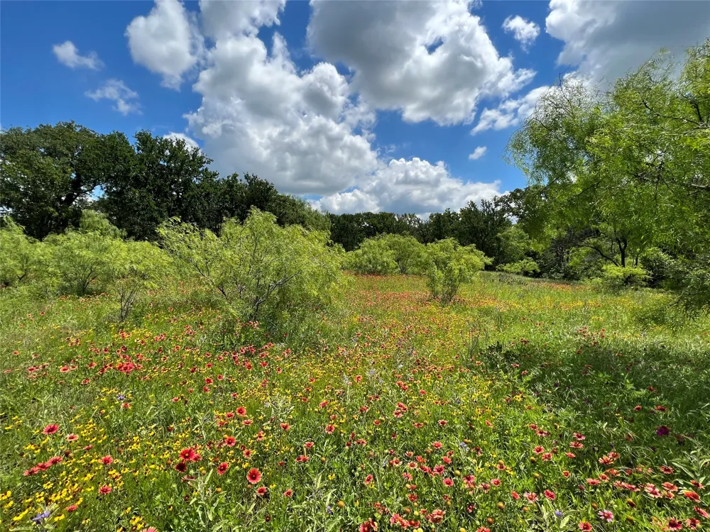 137 CR Cisco, TX 76437