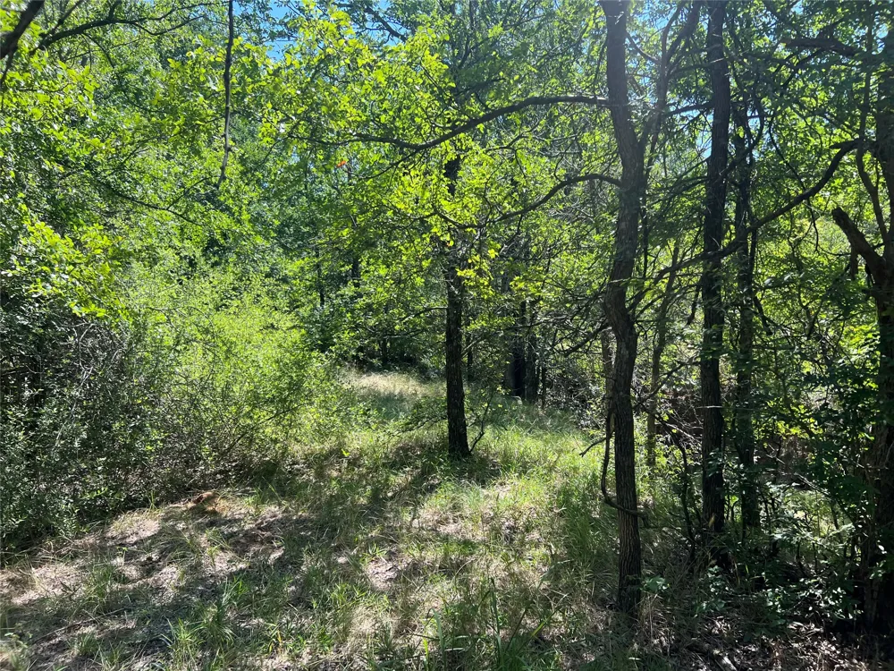 137 CR Cisco, TX 76437