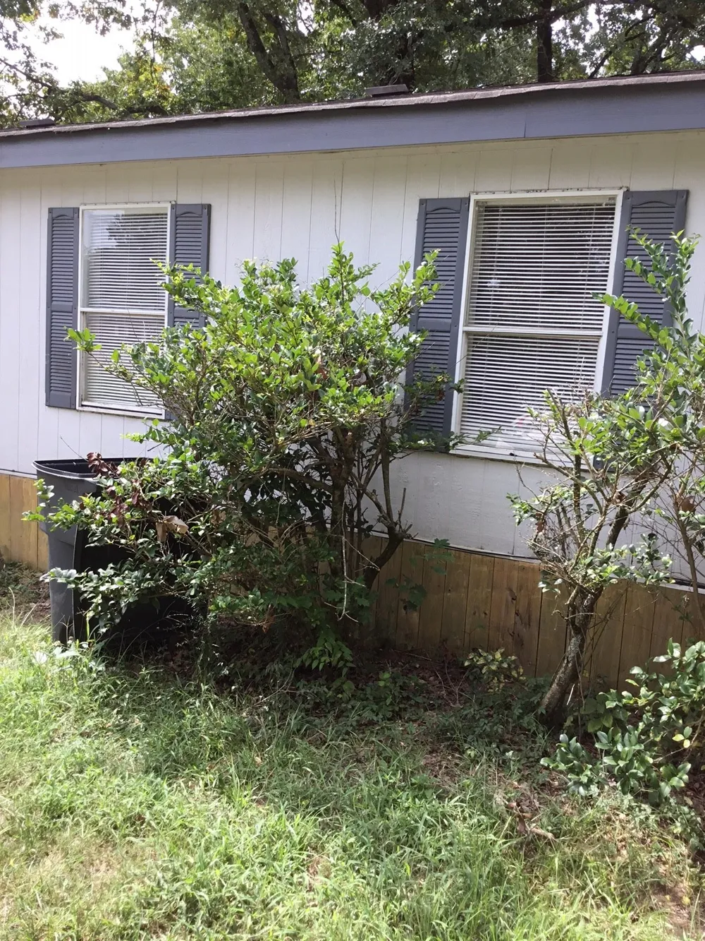 161 Flournoy Lucus Shreveport, LA 71106