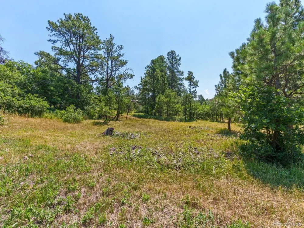 15969 Ray Drive Larkspur, CO 80118