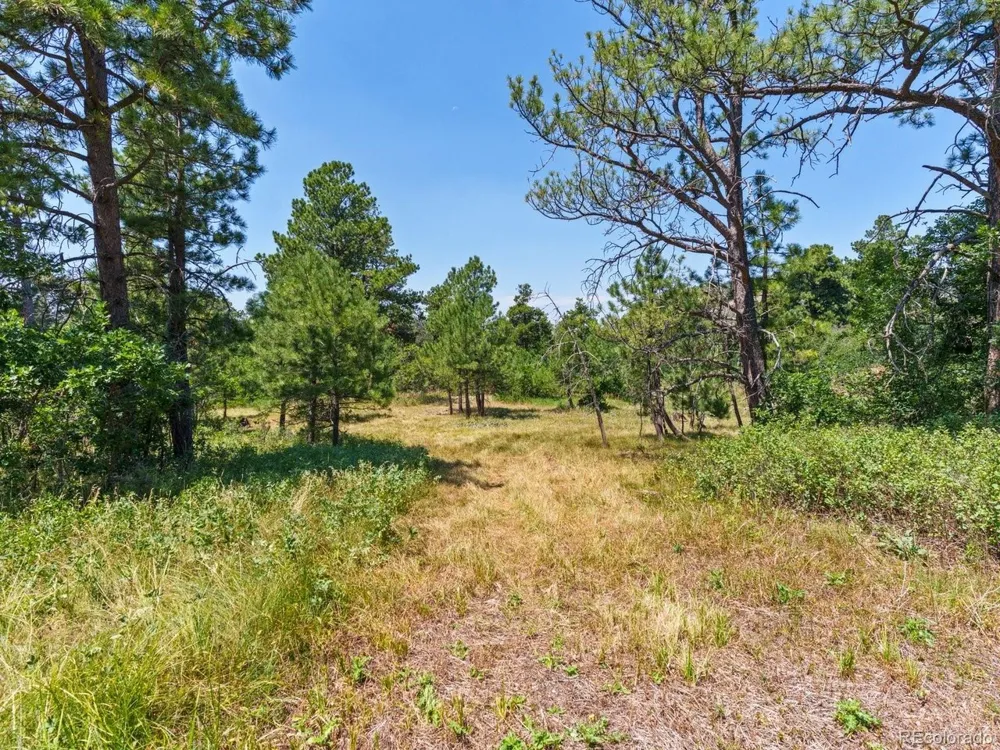 15969 Ray Drive Larkspur, CO 80118
