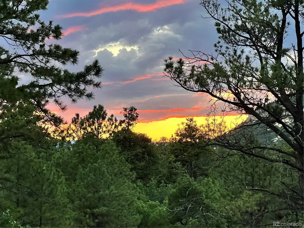15969 Ray Drive Larkspur, CO 80118