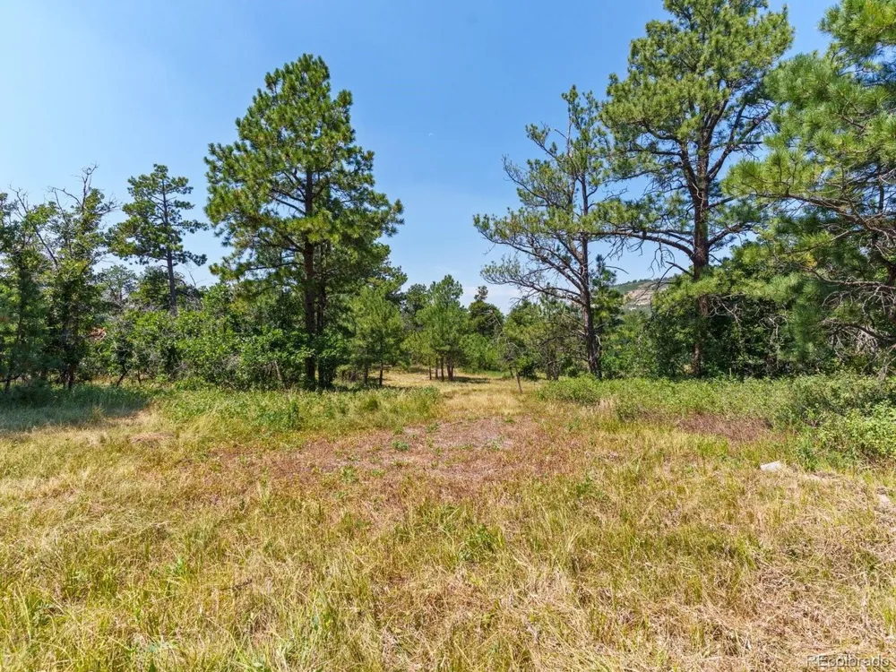 15969 Ray Drive Larkspur, CO 80118