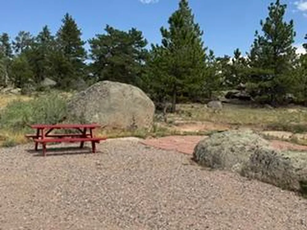 191 Cimarron Road Red Feather Lakes, CO 80545