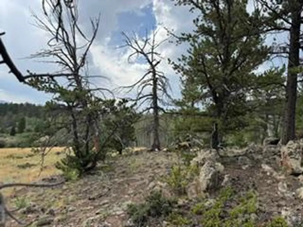 191 Cimarron Road Red Feather Lakes, CO 80545