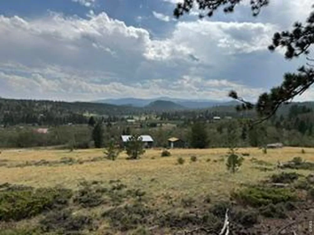 191 Cimarron Road Red Feather Lakes, CO 80545