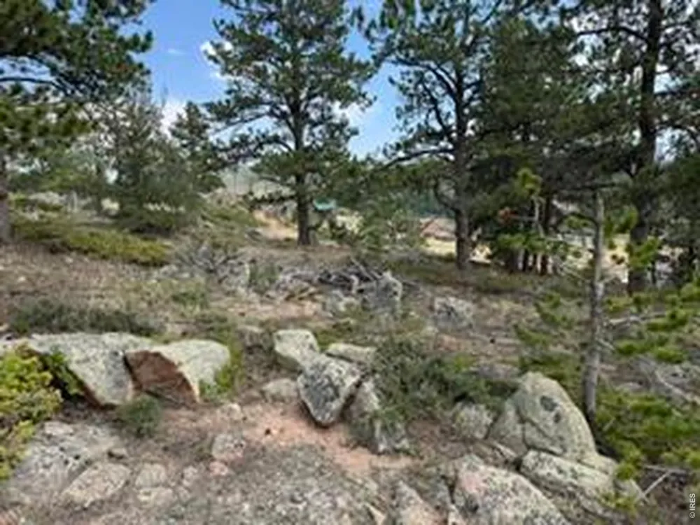 191 Cimarron Road Red Feather Lakes, CO 80545
