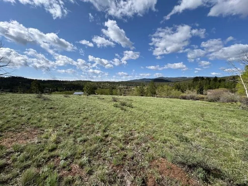 191 Cimarron Road Red Feather Lakes, CO 80545